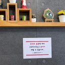 대구 중화비빔밥 맛집으로 알려진&lt;홍파파중국집&gt; 솔직후기