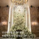 pet228누4303 | 성남웨딩홀 W스퀘어컨벤션 하객 후기, 채플웨딩홀 분위기부터 뷔페까지 정말 달랐습니다