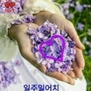 오늘의 뉴스 이미지