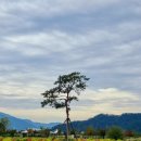 황산공원 배구장 이미지