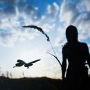 해븐(HEAVEN) 이미지