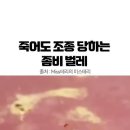 괴뢰 인조인간 정신의 숙주 이미지