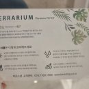 도시농업으로 힐링하기 이미지