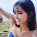 모모의바다 이미지