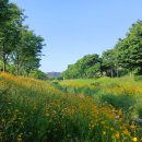 신리체육공원인근공원 이미지