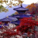 구름이머무는곳 이미지