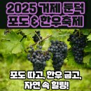 둔덕가족생활체육공원 | 거제 둔덕 포도&amp;한우축제 2025｜포도따기·한우 반값, 가을 힐링 제대로!