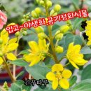 남사물향기야생화
