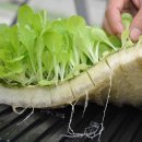 부자농장 이미지