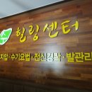 수힐링 네이버블로그