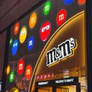 동방상사 | 🇨🇳상하이 엠엔엠즈 커스텀 초콜릿 가격, White rabbit 방문후기🇨🇳 (위치, 영업시간O)