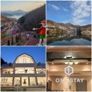 호반로 | [경기 가평] 대형카페 더강카페, 청평호 마리나베이 패키지(숙박+관광+체험) 후기