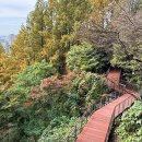 힐링산책코스 이미지