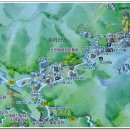 솔향공원 소나무전시관 이미지