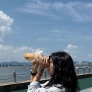 진도역사관 | 2025 여름 목포 3박 4일 3일차 - 갓바위, 진도 팽목항, 진도타워