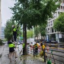 기동반-83 이미지