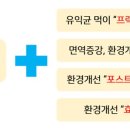 편안한약국 이미지