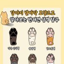 강아지발바닥
