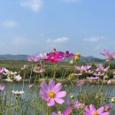 신풍식당 이미지