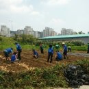 새마을 농장 이미지