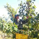 농부의 열매 이미지