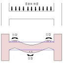 Re:철근콘크리트 보의 주근 이미지