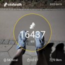 (주)달리고 이미지