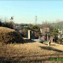 정정옹주묘 이미지