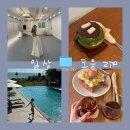 아라온뷰티 | 여름좋아 인간의 우당탕탕 여름나기