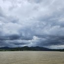 두물머리약국 이미지