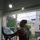 메카짐 티스토리