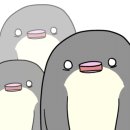 삼겹식당 이미지