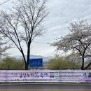 임고강변공원 공중화장실(3) | 양평 갈산공원 벚꽃 축제 주차장 정보 • 4개월 아기랑 여행