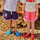 키즈돌핀 이미지