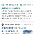 경기도 수원시 영통구 매탄로 매탄로79번길 이미지