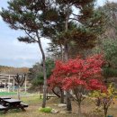 스테이246 | 양평 펜션 스테이246 내돈내산 숙박 후기