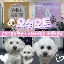 오쉬오트 네이버블로그