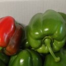 청파농장 이미지