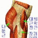 근육불균형 muscle imbalance 이미지