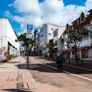 텐(본점) | 일본 마쓰야마 귤주스, 텐팩토리 본점 방문 후기