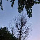 고양누리길 8코스 경의로누리길 | 고양누리길 9코스(고봉누리길)+고양누리길8코스(경의로누리길) 일산역까지