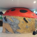 꽃잠 하우젠 이미지