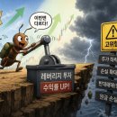 [축제의 그늘]③ "나만 빼고 다 벌었나" 포모에 갇힌 개미, 초고위험 '막차 베팅' 이미지