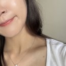 쥬플러스