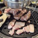 낭만접시 이미지