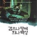 희나 이미지