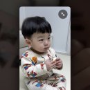 그레이토라멘 이미지