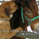 기억