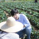 민호농장 네이버블로그