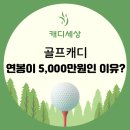 골프캐디 연봉이 5,000만원인 이유? 이미지